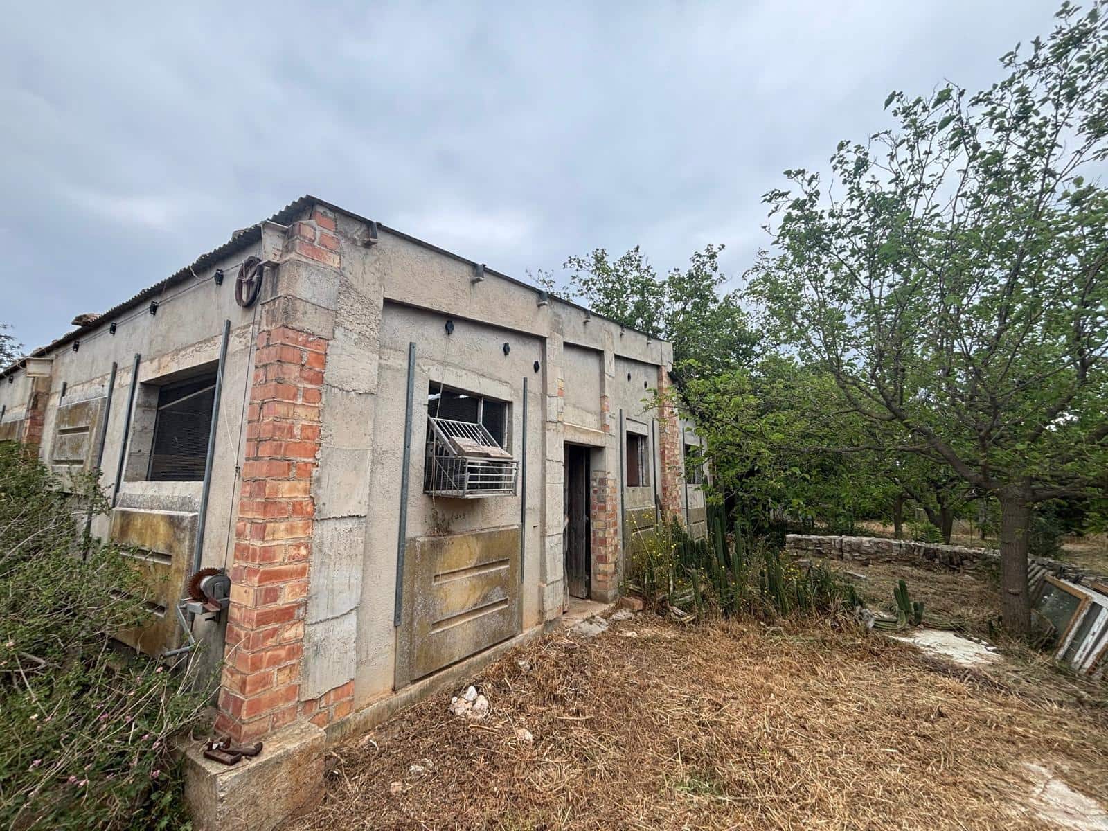 Negocio en Xerta en venta - 92.000 € (Ref: 9816050)