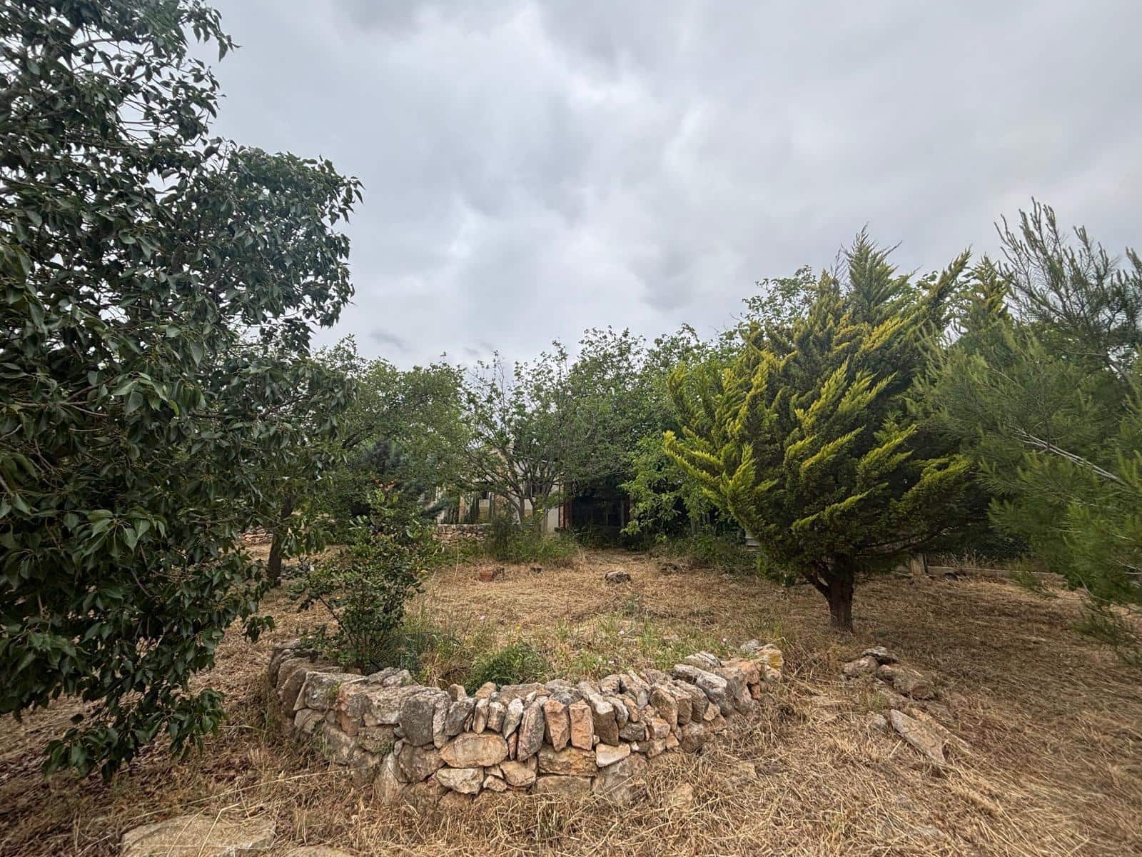 Negocio en Xerta en venta - 92.000 € (Ref: 9816050)
