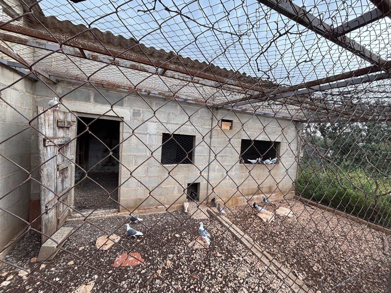Negocio en Xerta en venta - 92.000 € (Ref: 9816050)