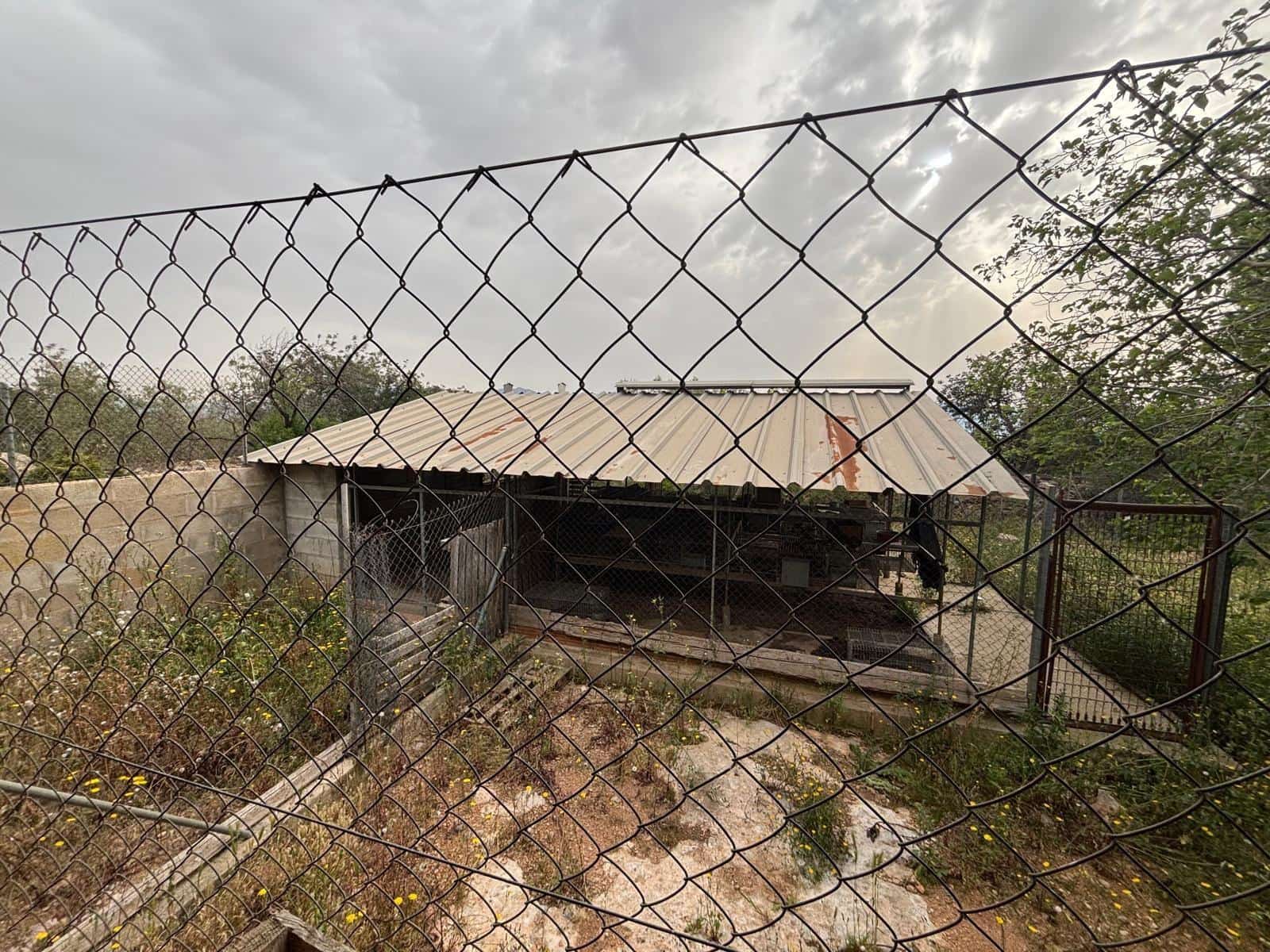 Negocio en Xerta en venta - 92.000 € (Ref: 9816050)
