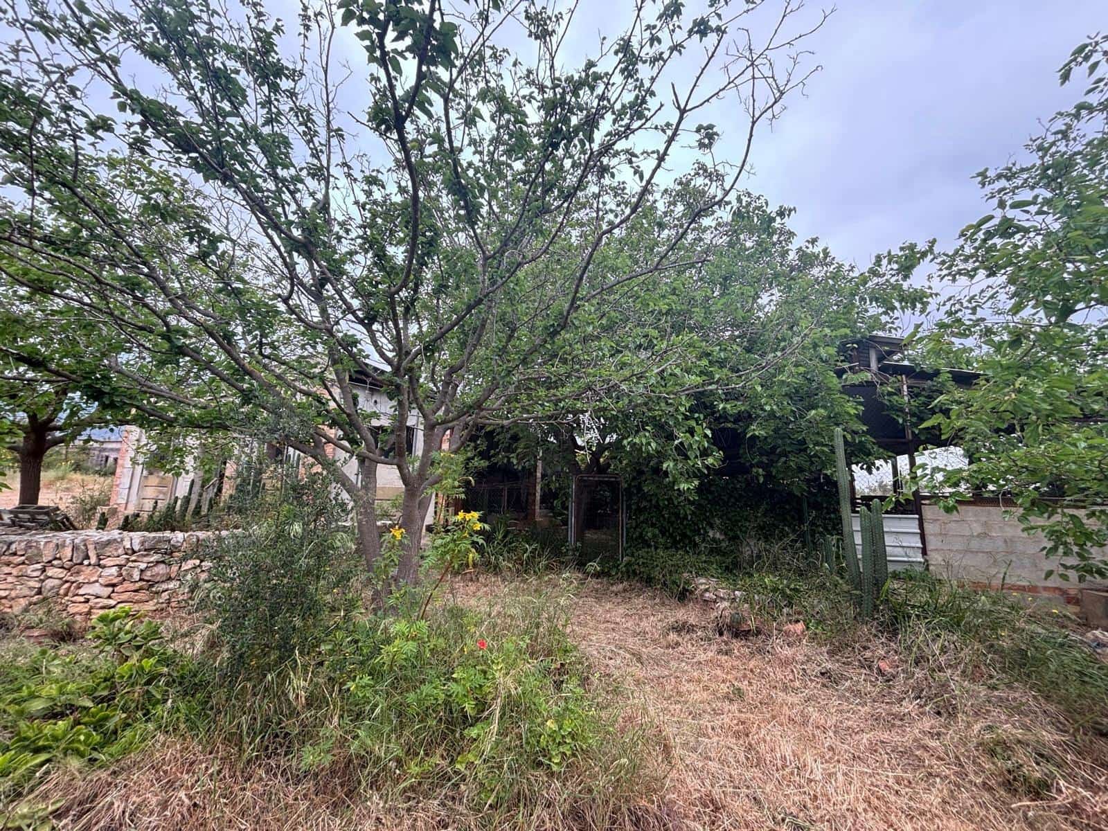 Negocio en Xerta en venta - 92.000 € (Ref: 9816050)