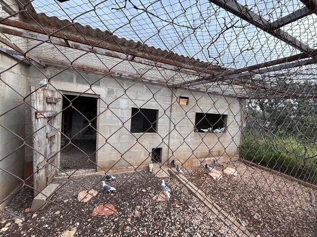 Negocio en Xerta en venta - 92.000 € (Ref: 9816050)