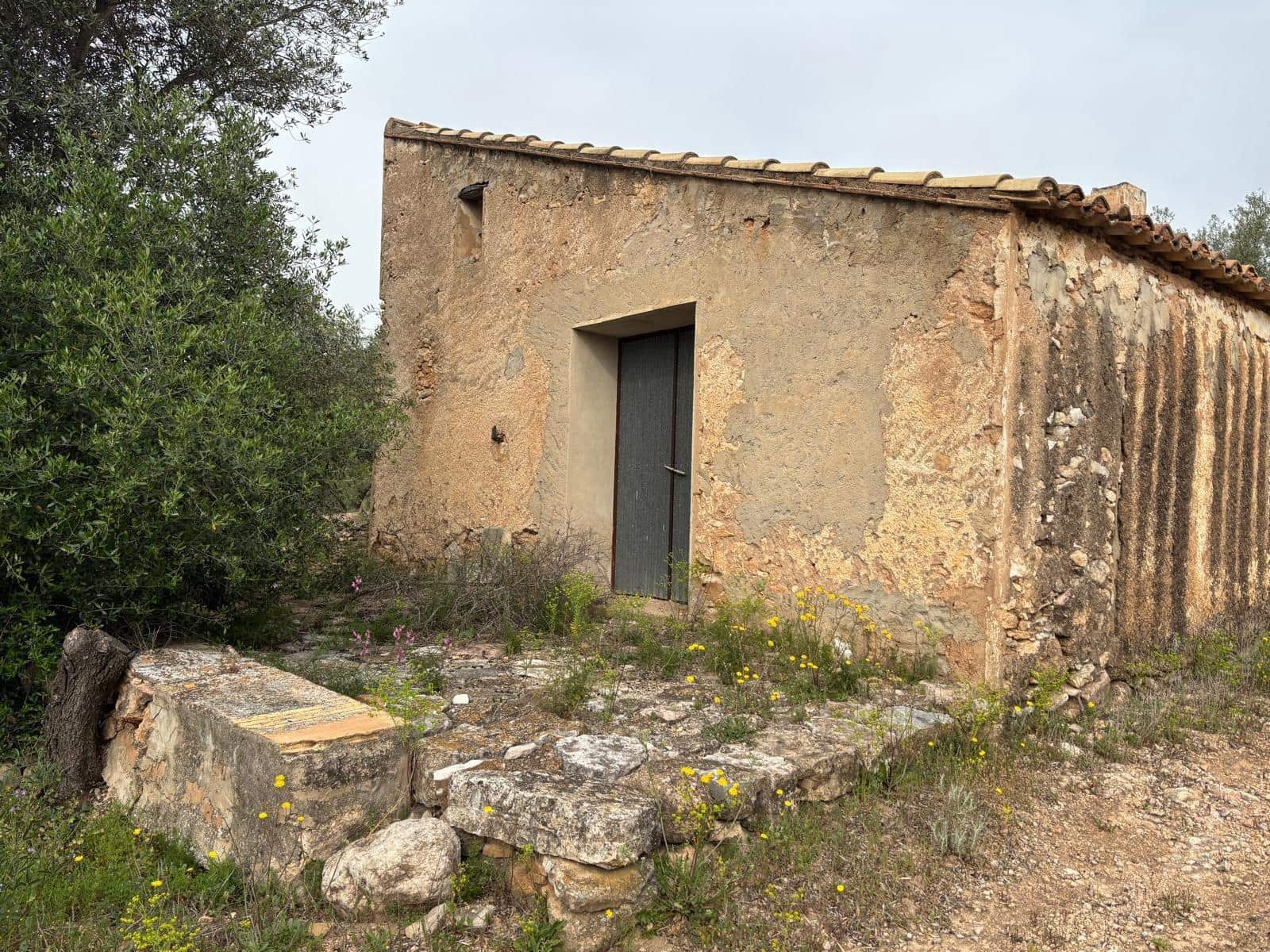 Negocio en Xerta en venta - 92.000 € (Ref: 9816050)
