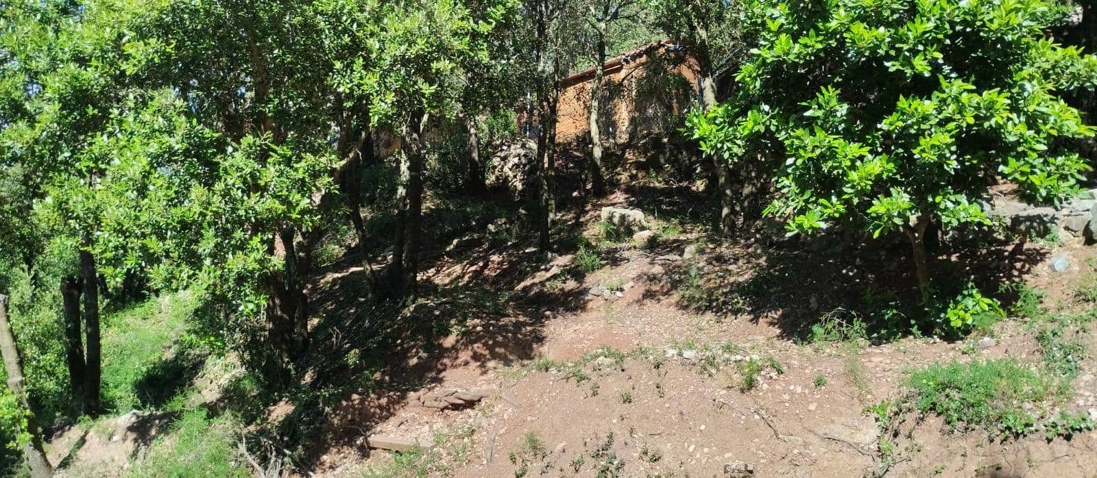 3 sypialnia Willa na sprzedaż w Alfara de Carles - 130 000 € (Ref: 9916088)
