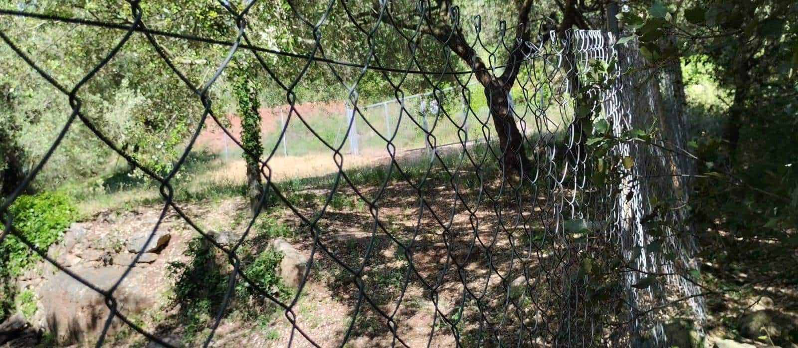 3 sypialnia Willa na sprzedaż w Alfara de Carles - 130 000 € (Ref: 9916088)