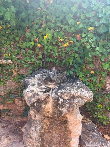 3 Zimmer Finca/Landgut zu verkaufen in Alfara de Carles - 130.000 € (Ref: 9916088)