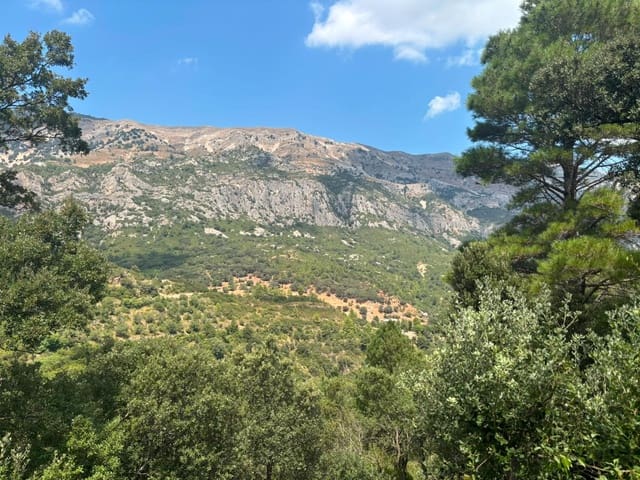 3 Zimmer Finca/Landgut zu verkaufen in Alfara de Carles - 130.000 € (Ref: 9916088)