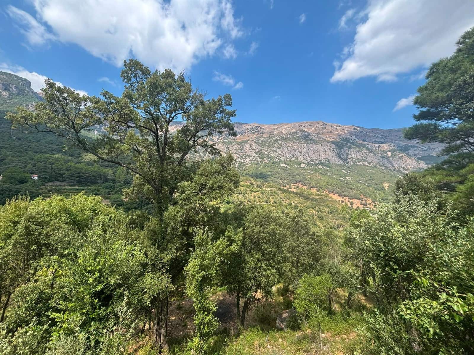 3 bedroom Finca/Country House for sale in Alfara de Carles - € 130,000 (Ref: 9916088)