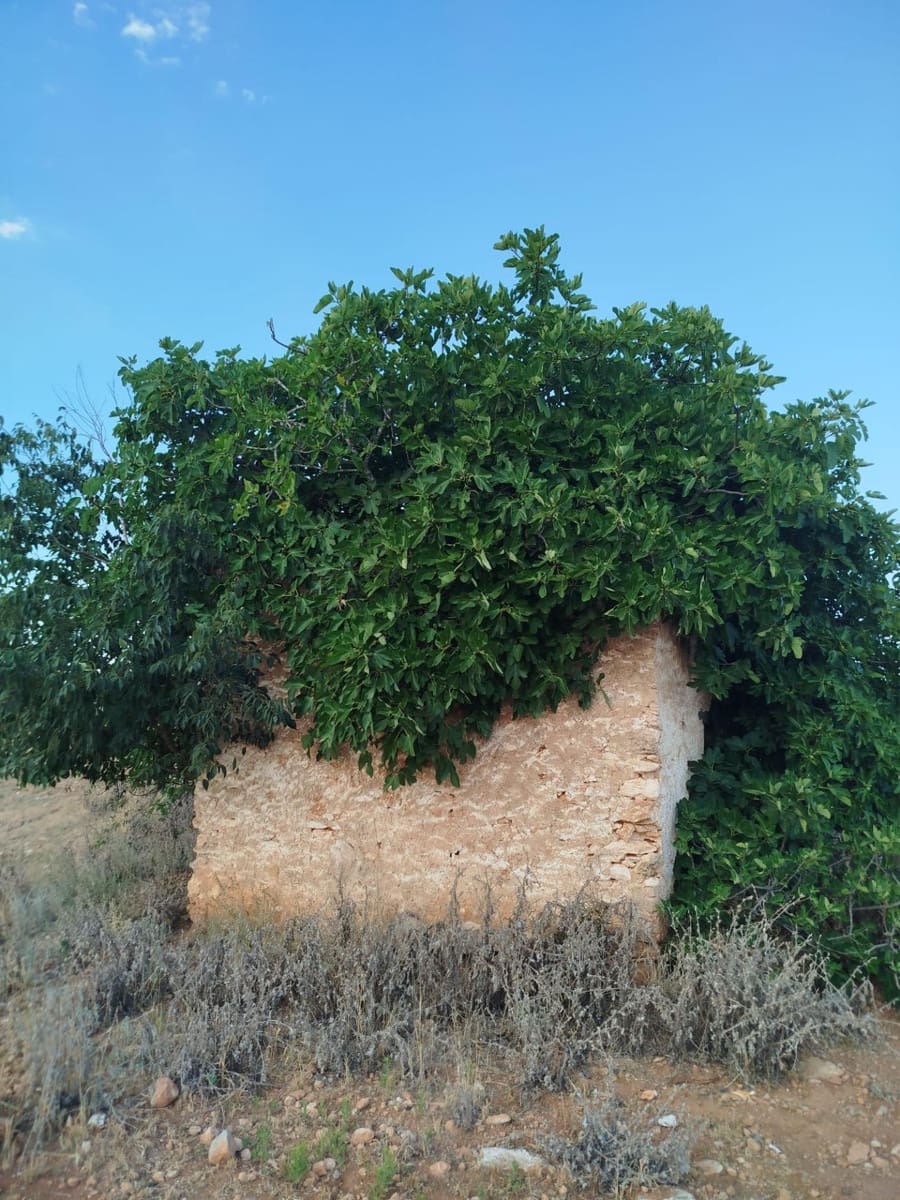 Undeveloped Land for sale in Masdenverge - € 120,000 (Ref: 9975637)