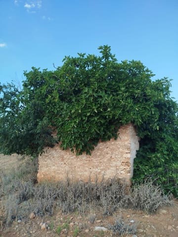 Undeveloped Land for sale in Masdenverge - € 120,000 (Ref: 9975637)