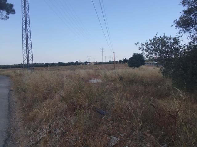 Undeveloped Land for sale in Masdenverge - € 120,000 (Ref: 9975637)
