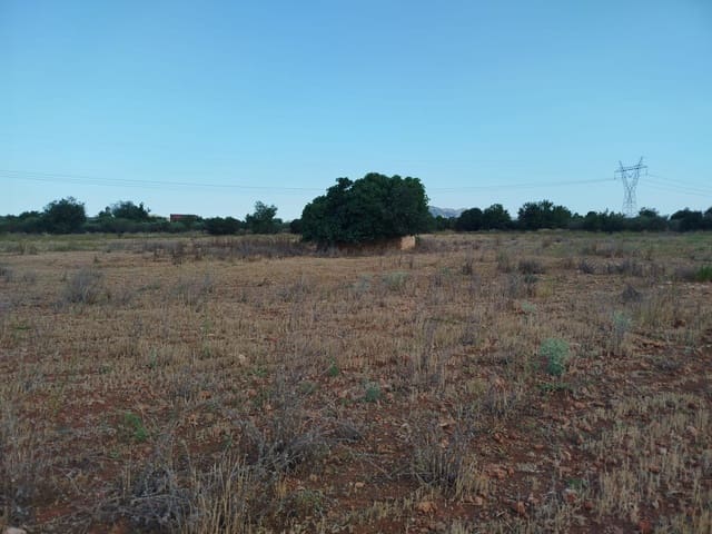 Undeveloped Land for sale in Masdenverge - € 120,000 (Ref: 9975637)