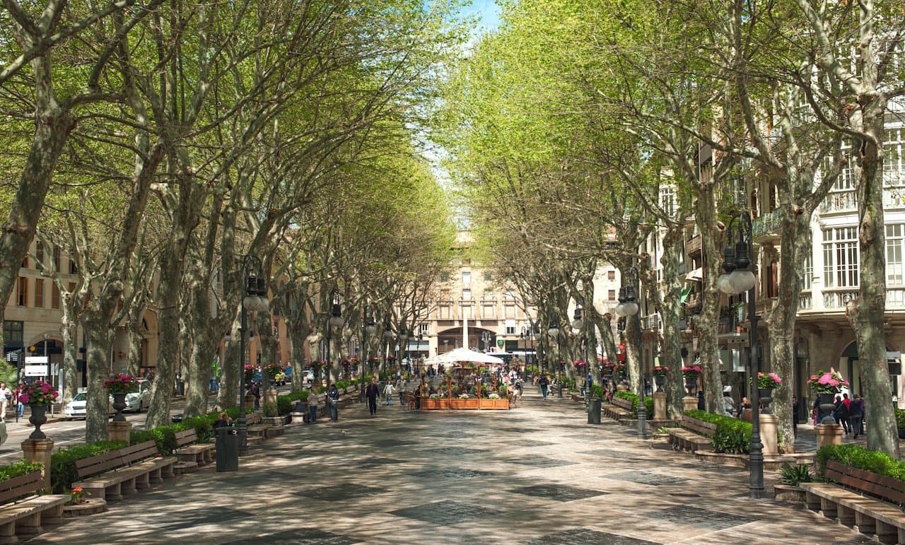 2 chambre Appartement à vendre à Palma de Mallorca avec garage - 775 500 € (Ref: 10026154)