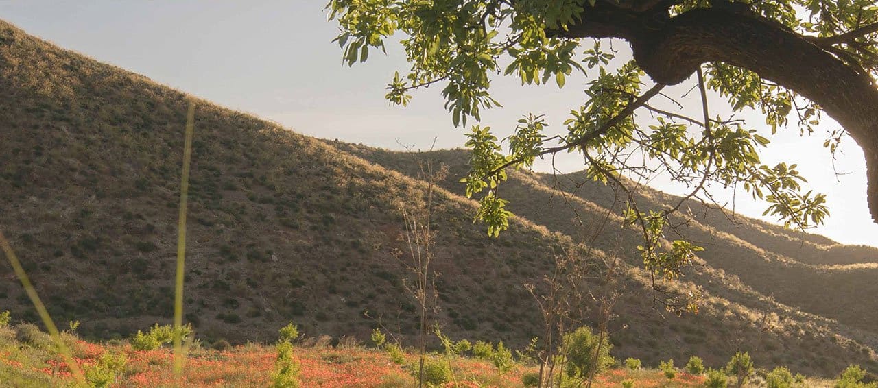 3 quarto Moradia para venda em Las Palas com garagem - 339 000 € (Ref: 7299617)