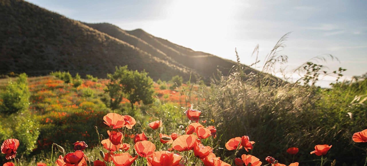 3 quarto Moradia para venda em Las Palas com garagem - 339 000 € (Ref: 7299617)