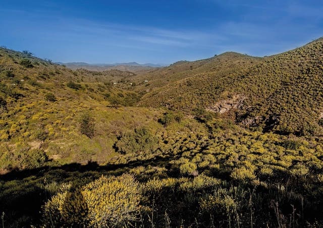2 makuuhuone Omakotitalo myytävänä paikassa Las Palas, Fuente Alamo de Murcia mukana 
autotalli - 194 000 € (Ref: 7299618)