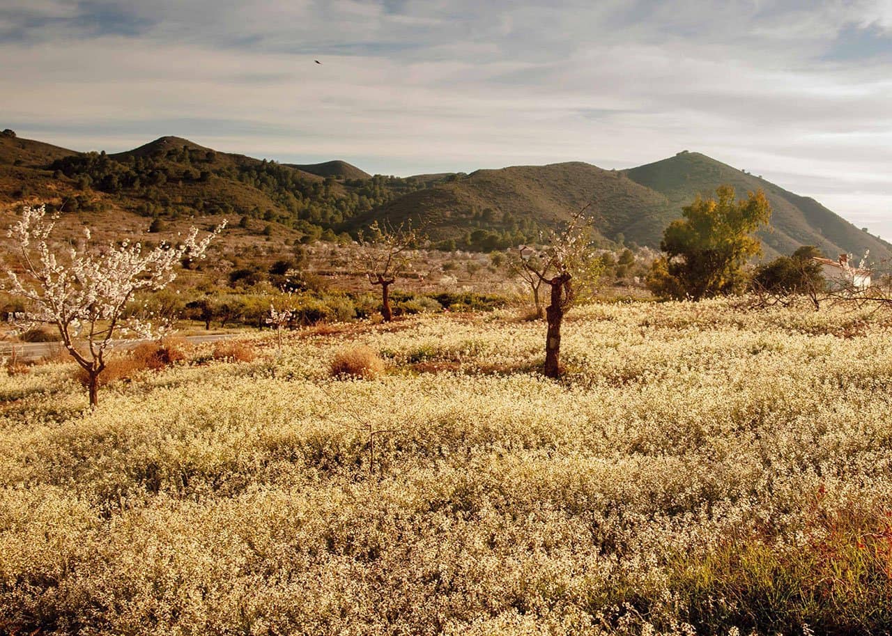 2 soveværelse Byhus til salg i Las Palas med garage - € 194.000 (Ref: 7299618)