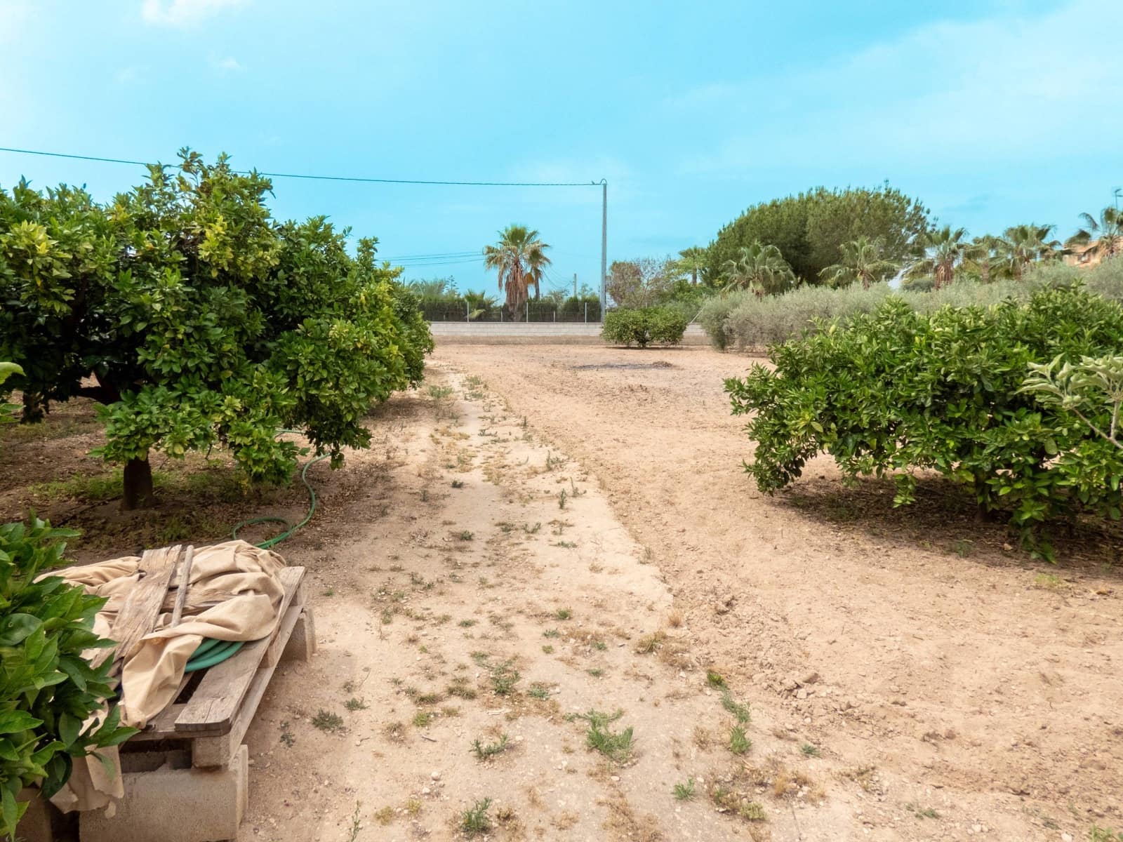 3 bedroom Finca/Country House for sale in Matola with pool - € 289,500 (Ref: 9491758)