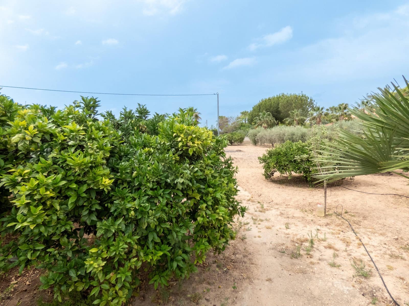 3 Zimmer Finca/Landgut zu verkaufen in Matola mit Pool - 289.500 € (Ref: 9491758)