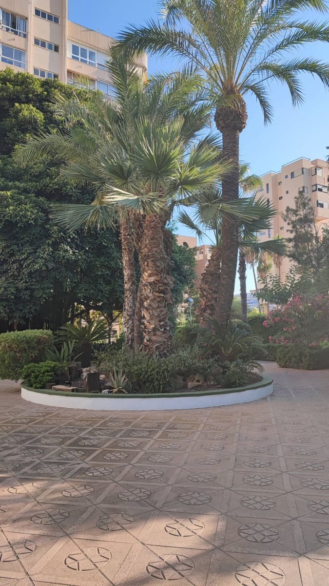 3 makuuhuone Asunto myytävänä paikassa Playa de San Juan mukana uima-altaan 
autotalli - 569 000 € (Ref: 9491759)