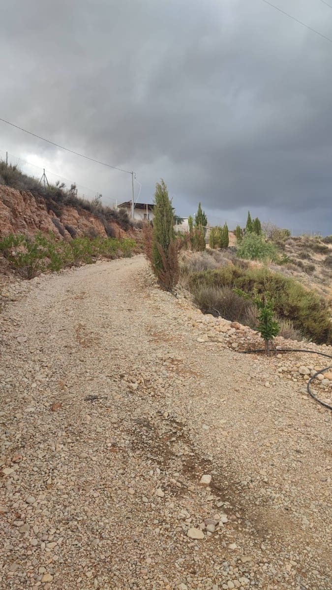 Finca/Casa Rural de 5 habitaciones en Abanilla en venta - 140.000 € (Ref: 9491762)