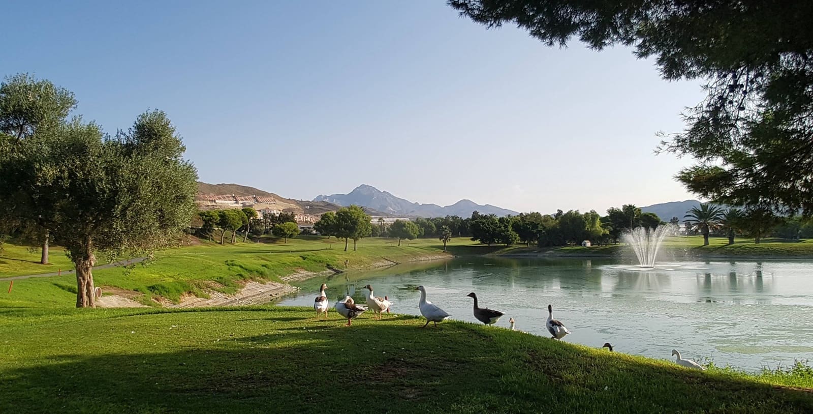 2 bedroom Flat for sale in Muchamiel / Mutxamel with pool - € 194,000 (Ref: 9491767)