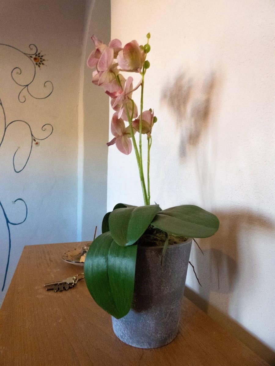 4 makuuhuone Omakotitalo myytävänä paikassa Casas del Senor - 139 500 € (Ref: 9499037)