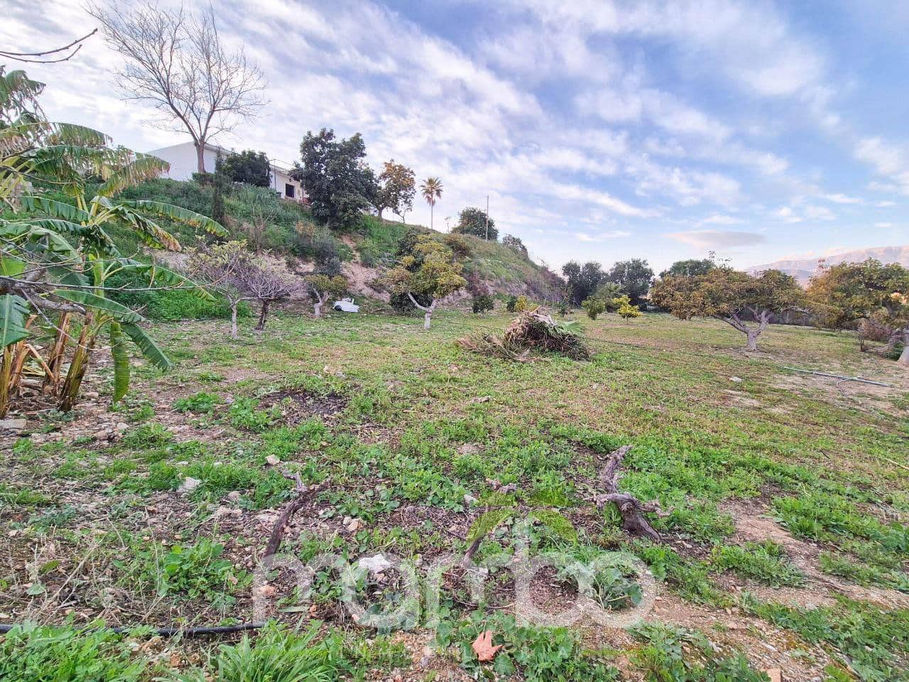 10 bedroom Finca/Country House for sale in Torre del Mar with pool - € 424,900 (Ref: 9484013)