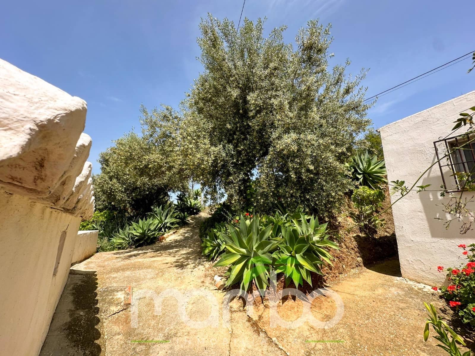 Finca/Casa Rural de 3 habitaciones en Canillas de Aceituno en venta - 199.900 € (Ref: 9484016)