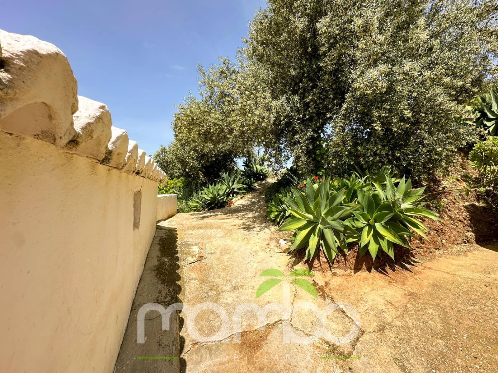 Finca/Casa Rural de 3 habitaciones en Canillas de Aceituno en venta - 199.900 € (Ref: 9484016)