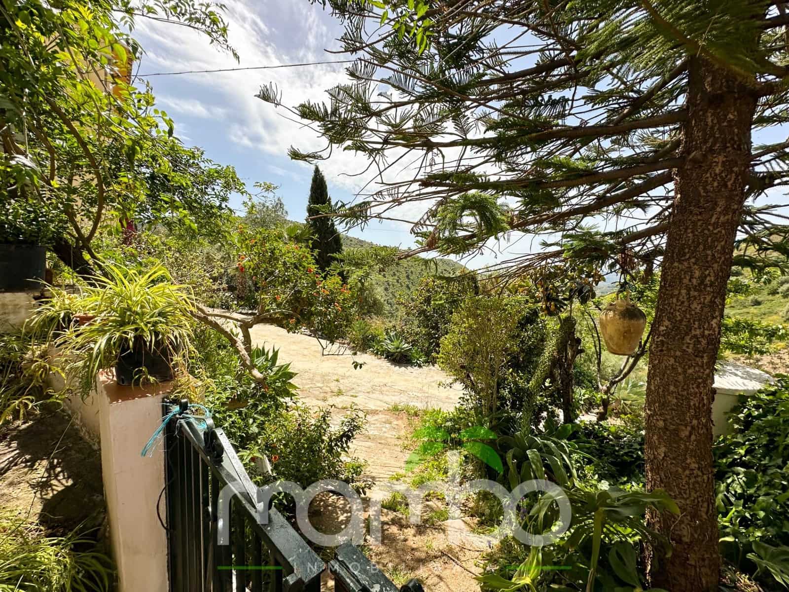 Finca/Casa Rural de 3 habitaciones en Canillas de Aceituno en venta - 199.900 € (Ref: 9484016)