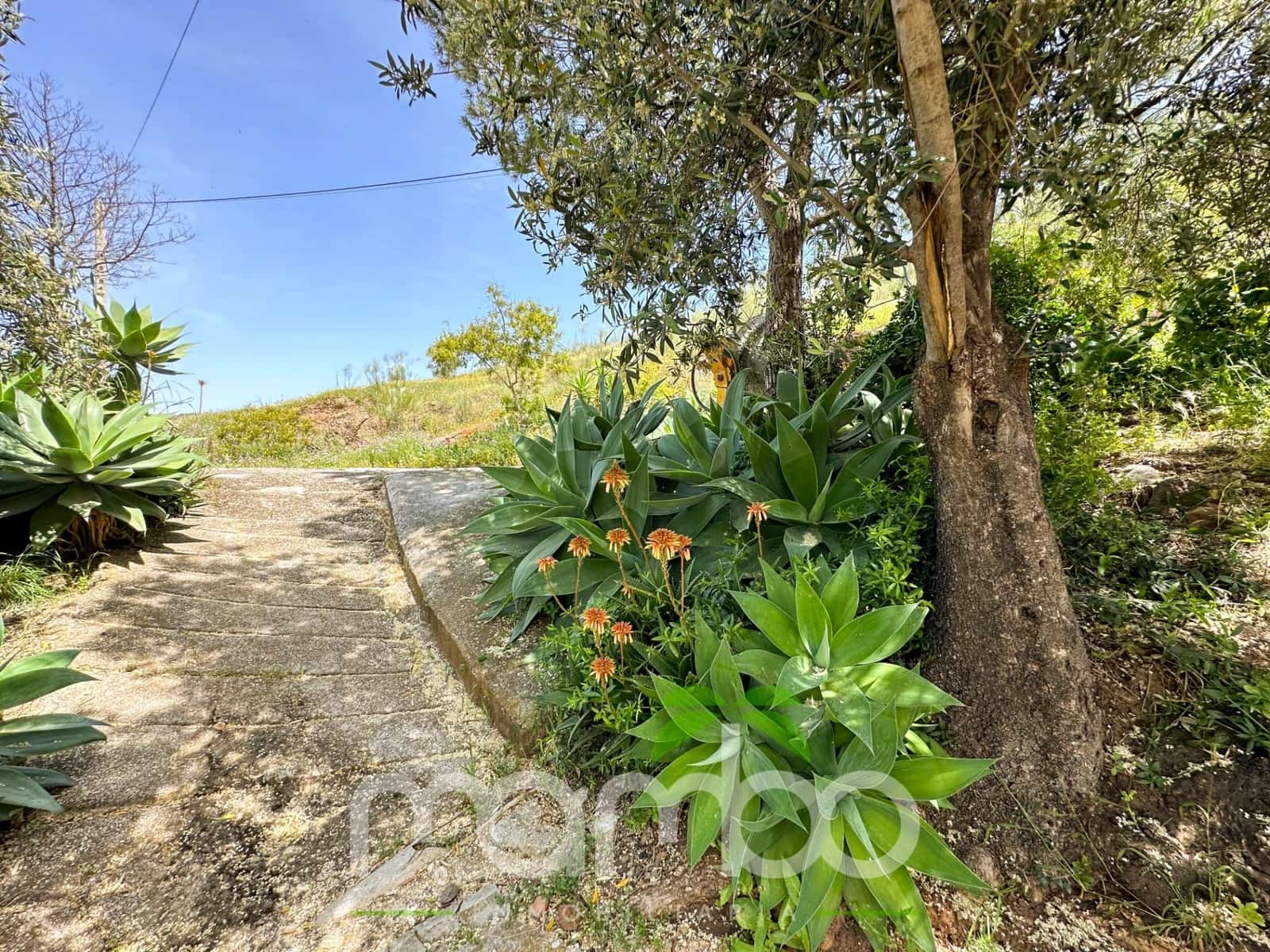 Finca/Casa Rural de 3 habitaciones en Canillas de Aceituno en venta - 199.900 € (Ref: 9484016)