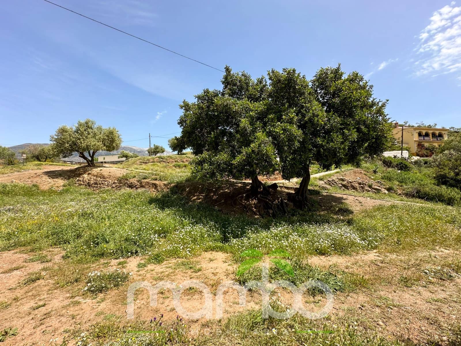 Finca/Casa Rural de 3 habitaciones en Canillas de Aceituno en venta - 199.900 € (Ref: 9484016)