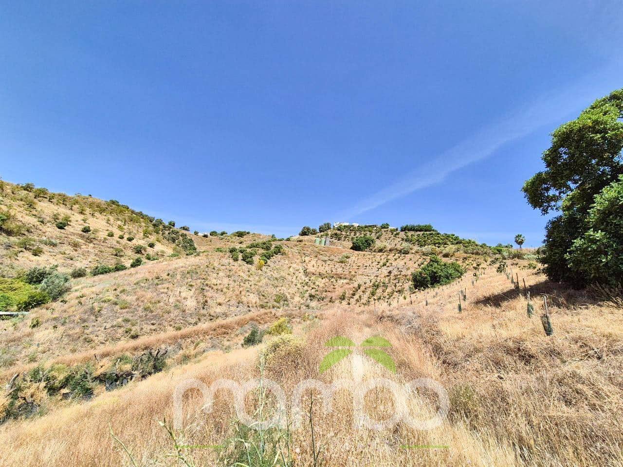 Undeveloped Land for sale in Velez-Malaga - € 115,000 (Ref: 9484026)