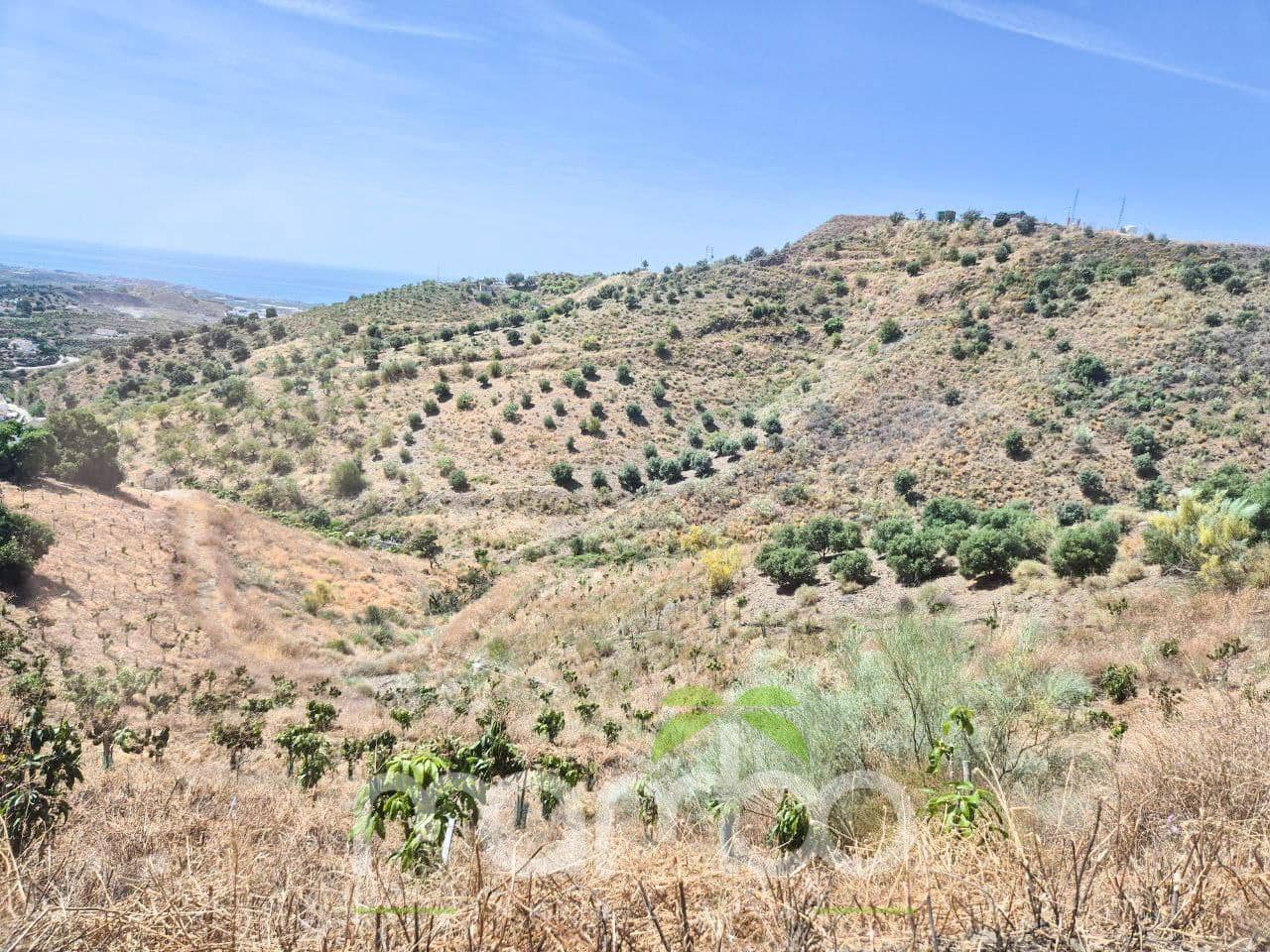 Undeveloped Land for sale in Velez-Malaga - € 115,000 (Ref: 9484026)