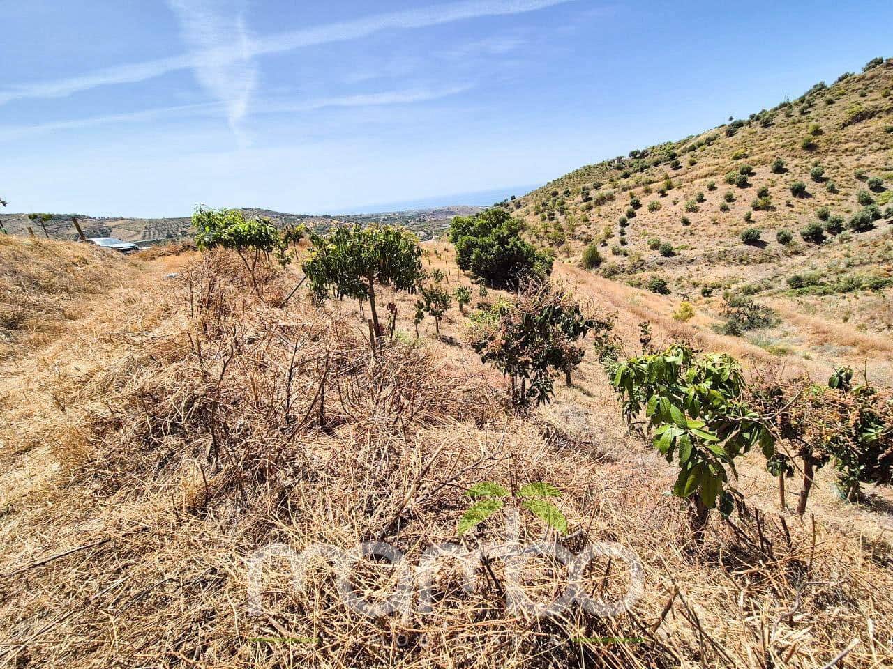 Undeveloped Land for sale in Velez-Malaga - € 115,000 (Ref: 9484026)