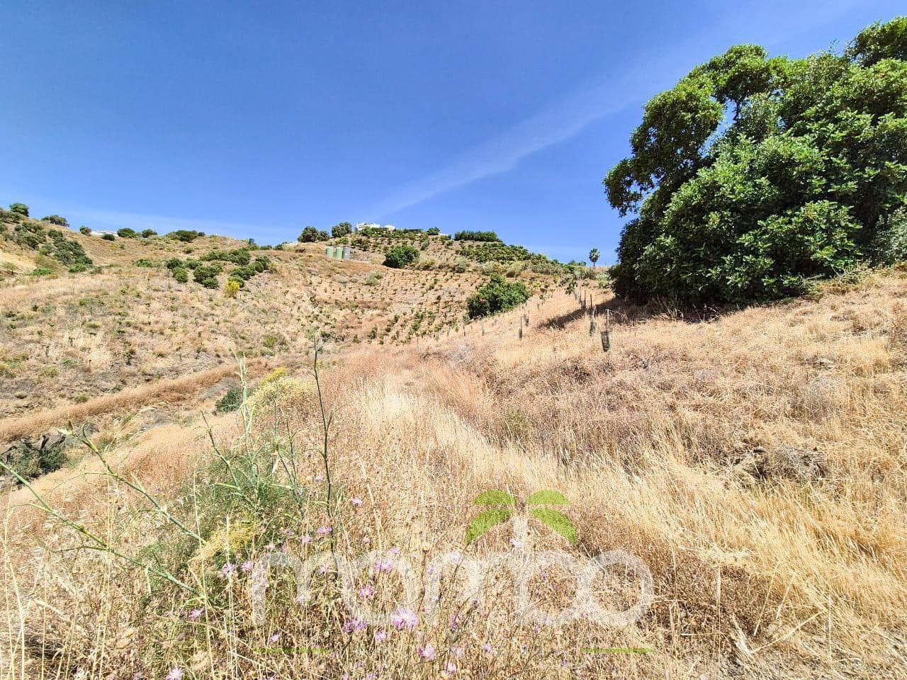 Undeveloped Land for sale in Velez-Malaga - € 115,000 (Ref: 9484026)