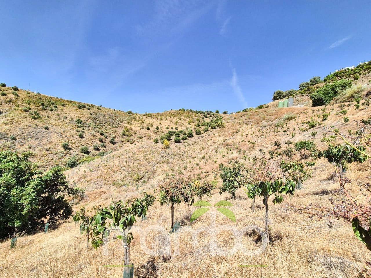 Undeveloped Land for sale in Velez-Malaga - € 115,000 (Ref: 9484026)