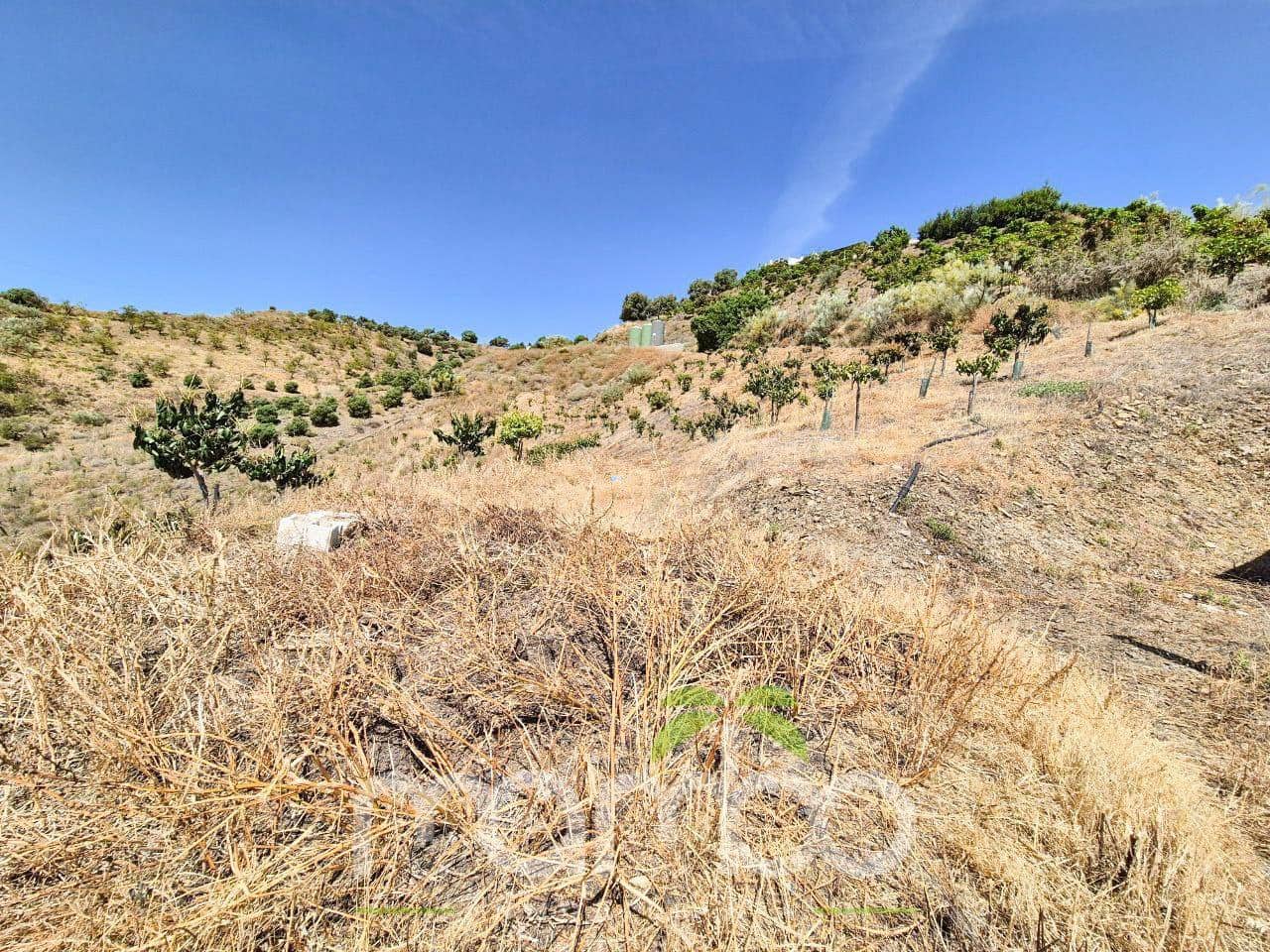 Undeveloped Land for sale in Velez-Malaga - € 115,000 (Ref: 9484026)