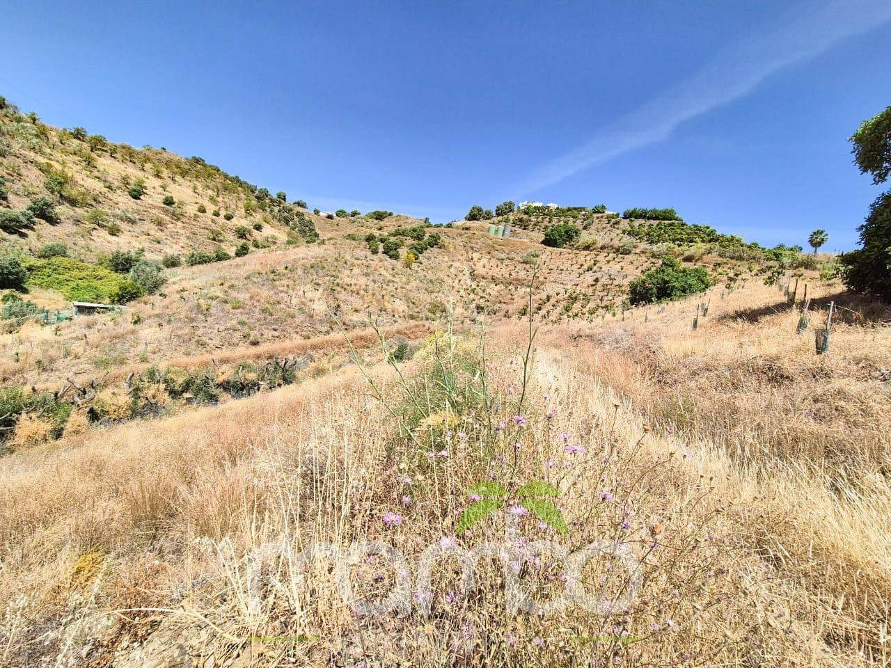 Undeveloped Land for sale in Velez-Malaga - € 115,000 (Ref: 9484026)