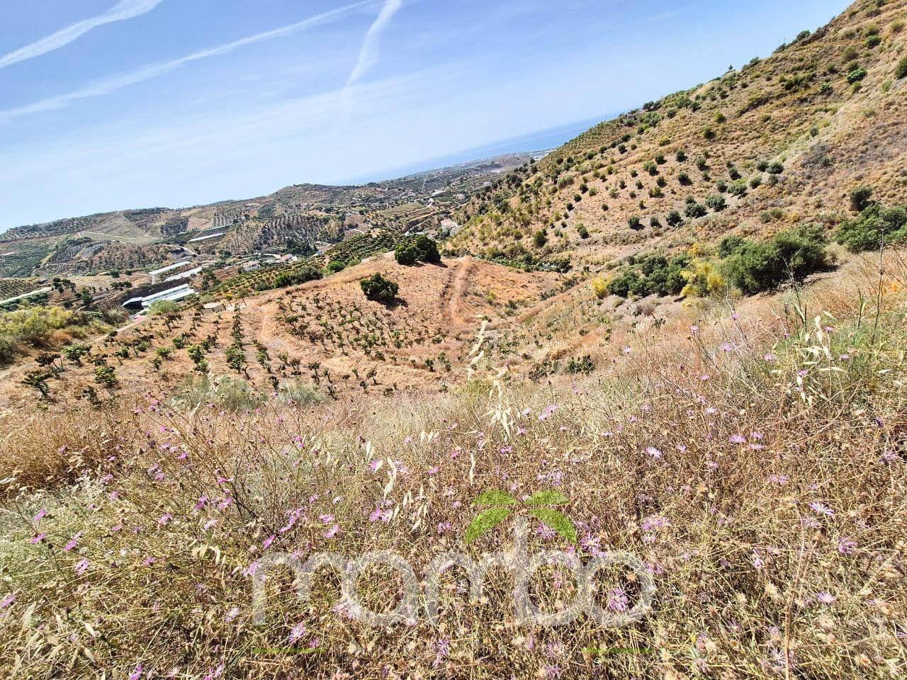 Undeveloped Land for sale in Velez-Malaga - € 115,000 (Ref: 9484026)