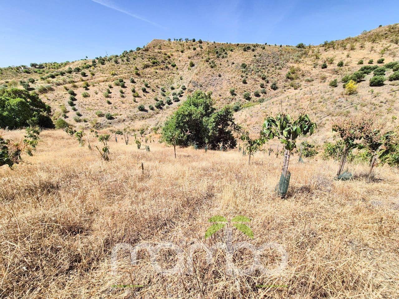 Undeveloped Land for sale in Velez-Malaga - € 115,000 (Ref: 9484026)
