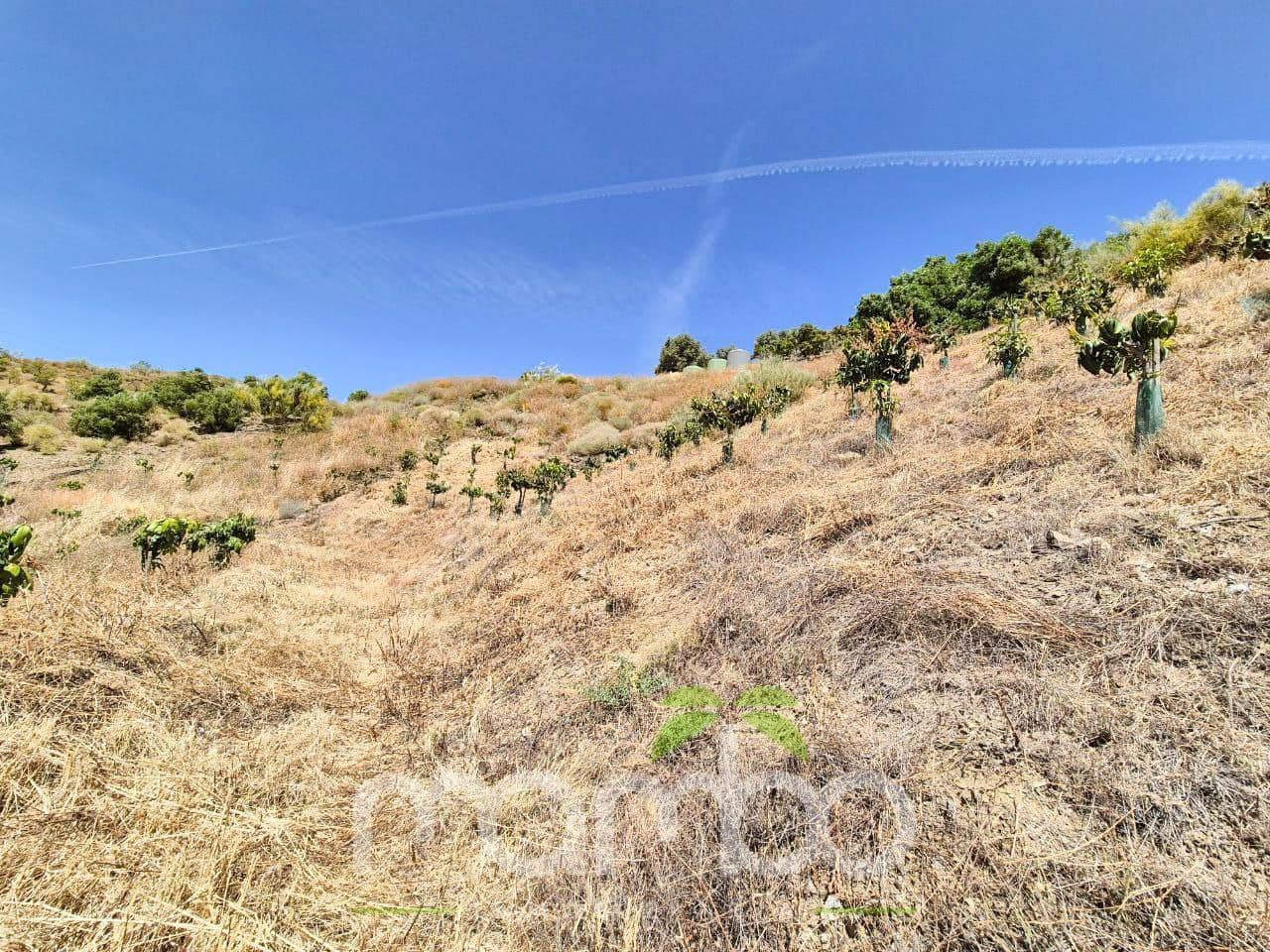 Undeveloped Land for sale in Velez-Malaga - € 115,000 (Ref: 9484026)