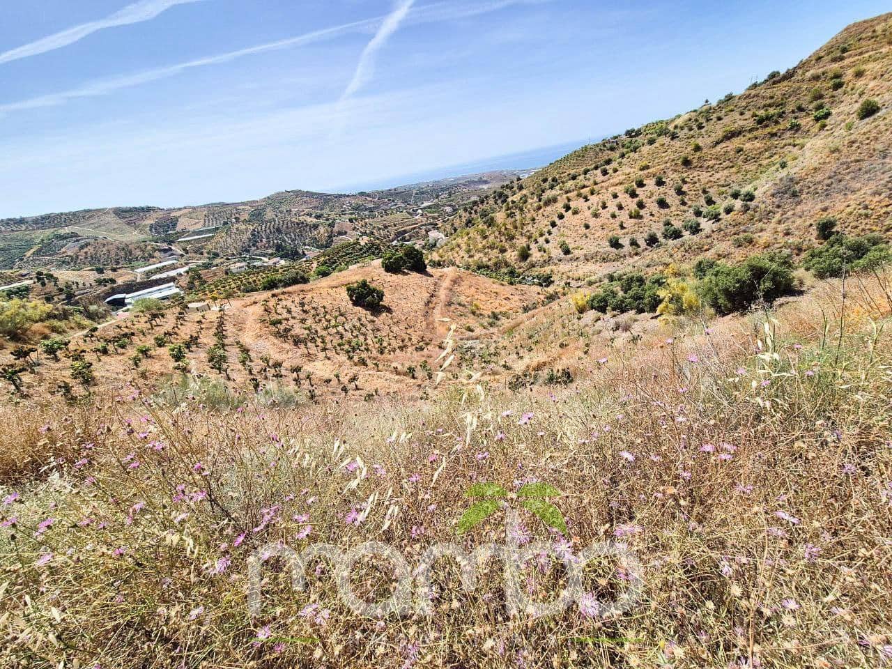 Undeveloped Land for sale in Velez-Malaga - € 115,000 (Ref: 9484026)