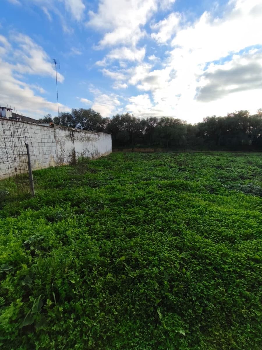 Building Plot for sale in Dos Hermanas - € 340,000 (Ref: 9495335)