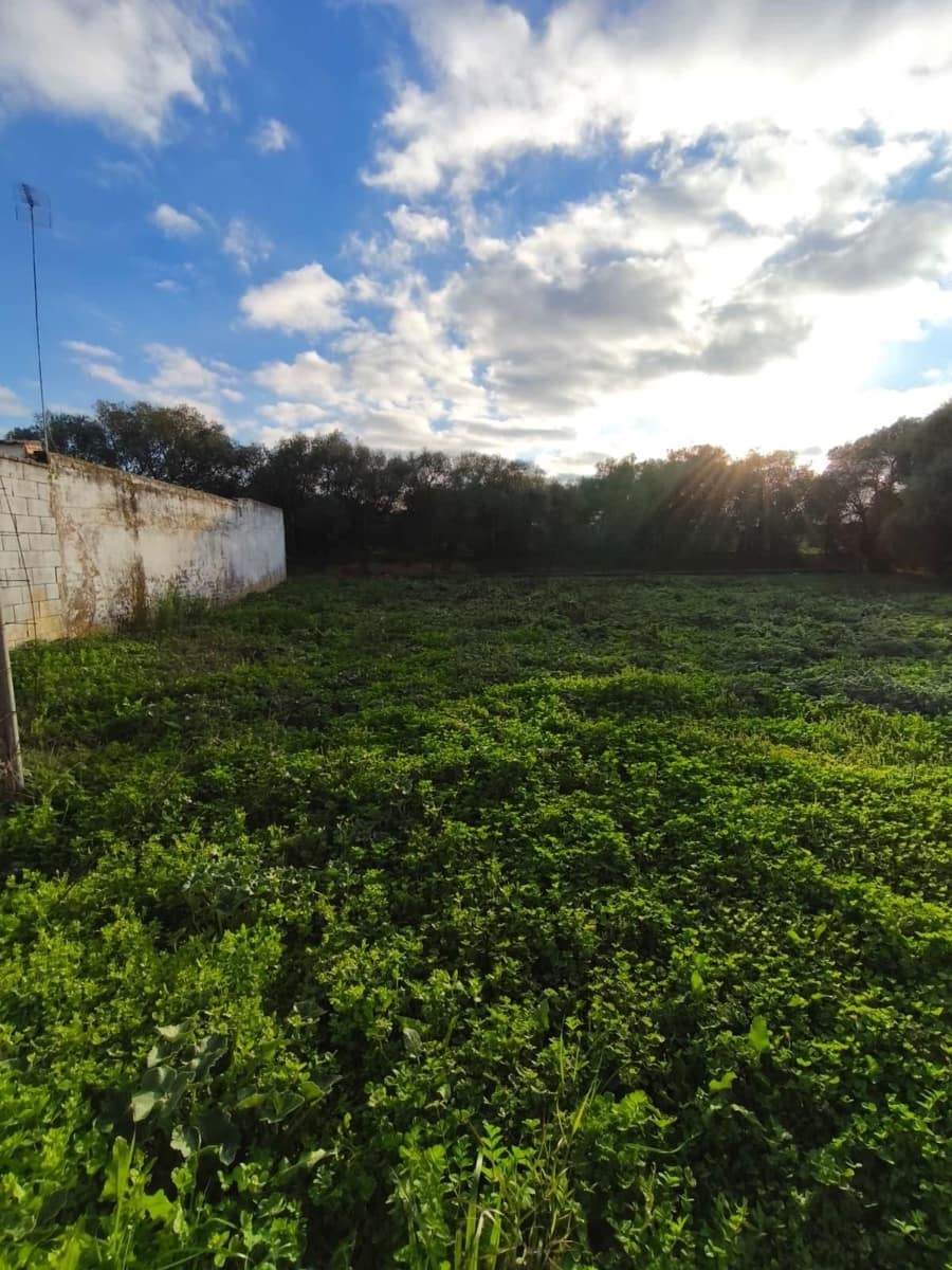 Building Plot for sale in Dos Hermanas - € 340,000 (Ref: 9495335)