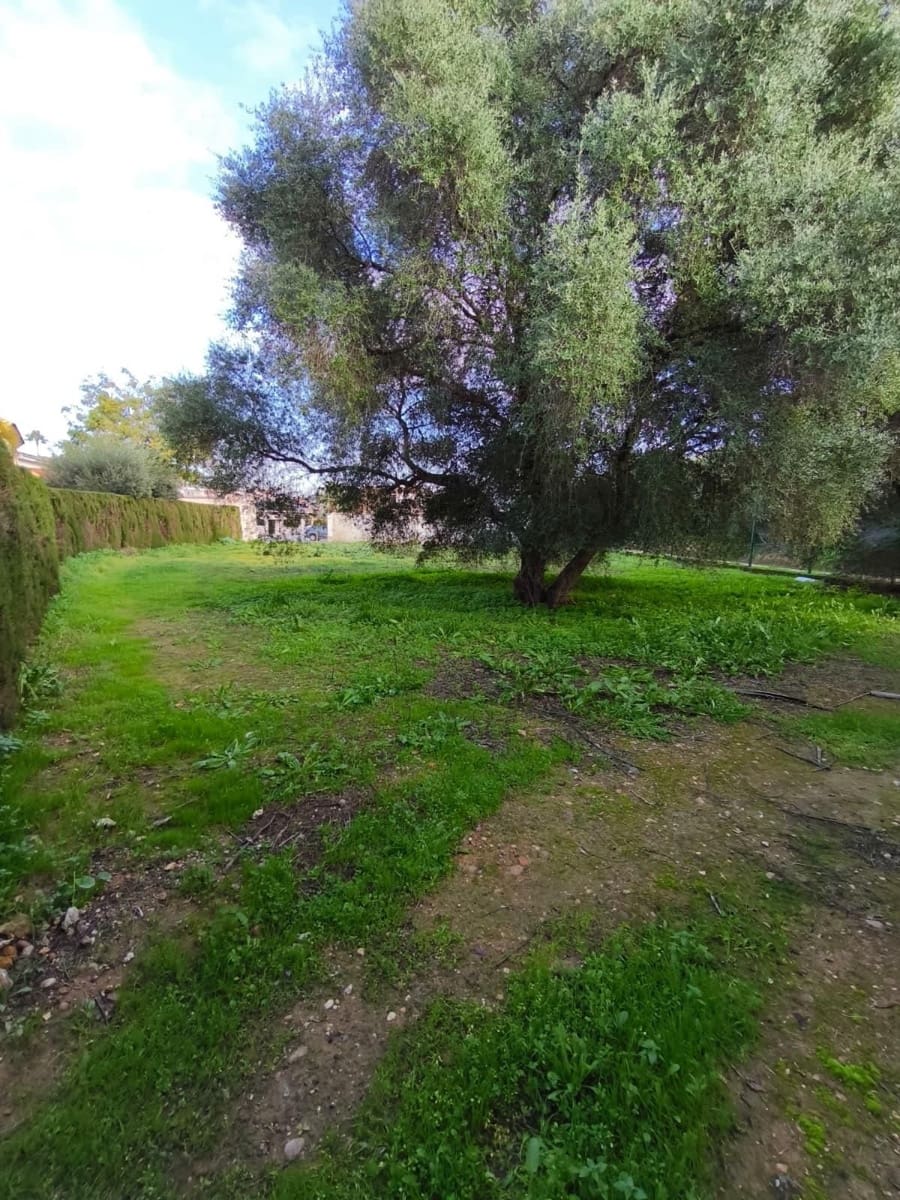 Building Plot for sale in Dos Hermanas - € 340,000 (Ref: 9495335)