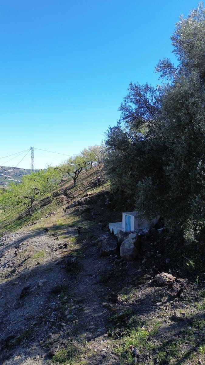 Grond te koop in Canillas de Albaida - € 375.000 (Ref: 10029564)