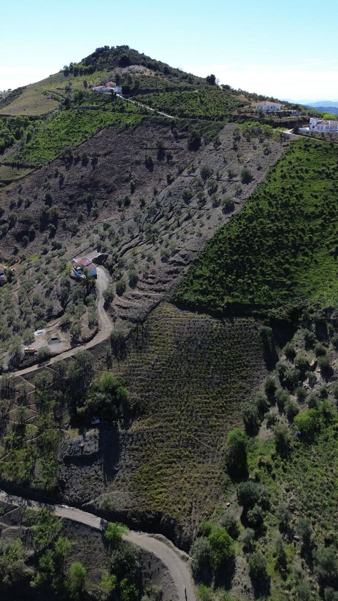 Grond te koop in Canillas de Albaida - € 375.000 (Ref: 10029564)