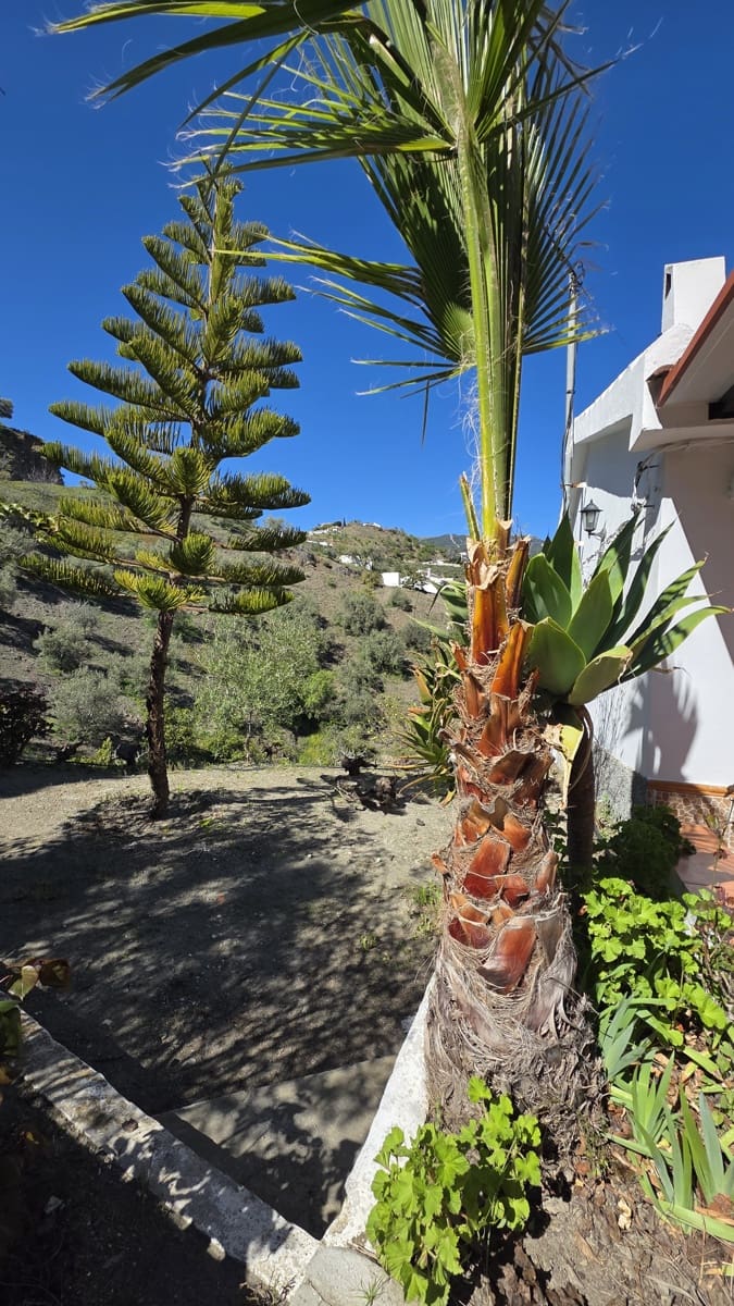 Grond te koop in Canillas de Albaida - € 375.000 (Ref: 10029564)